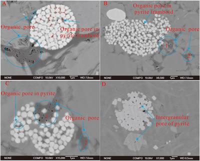 Pore Characterization of Pyrite in the Longmaxi Formation Shale in the Upper Yangtze Area of China